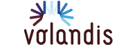 Volandis logo