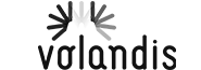 Volandis logo grijs